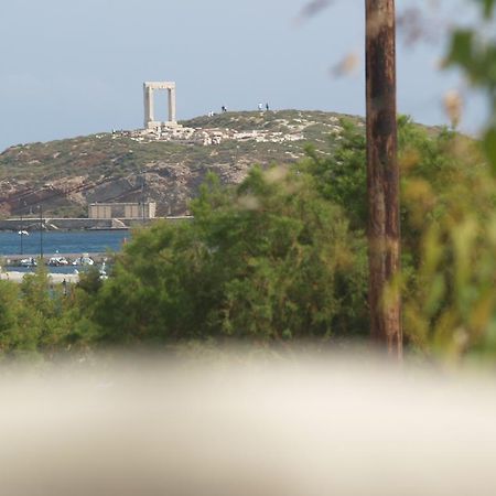 Апартаменты Vasiliki'S House Naxos City Экстерьер фото