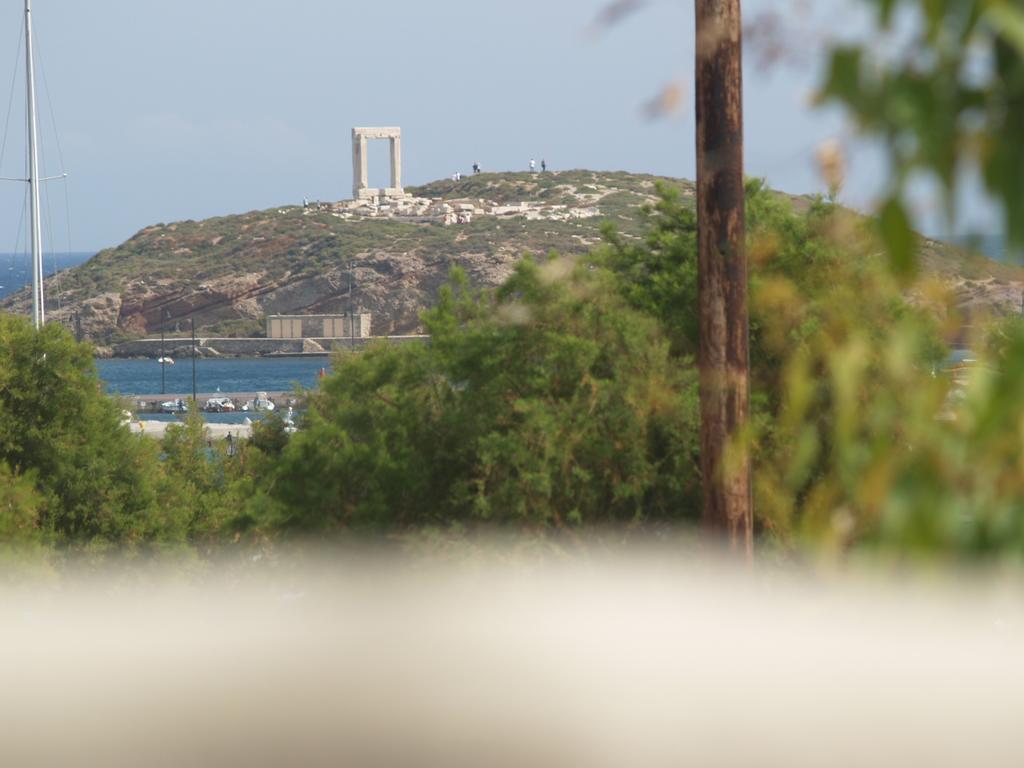 Апартаменты Vasiliki'S House Naxos City Экстерьер фото